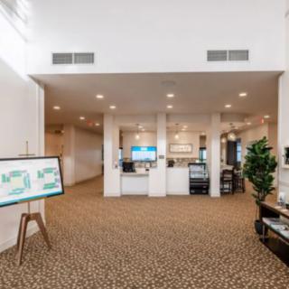 A modern lobby with a welcoming reception area and decorative elements.
