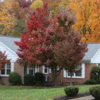 Sunnyside Presbyterian Retirement Community