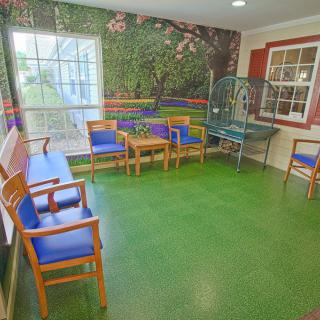A brightly decorated waiting room with a green floor and colorful mural on the wall, featuring several wooden chairs and a table.