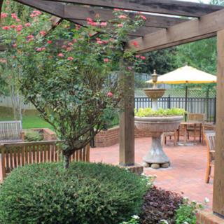 A well-maintained garden patio with a wooden pergola, featuring outdoor seating and vibrant greenery.