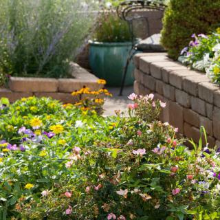 A vibrant garden filled with blooming flowers and lush greenery.