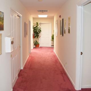A hallway with red carpet, doors on either side, and decorative elements including plants and wall art.