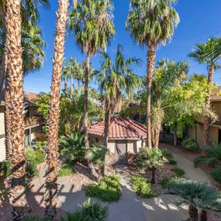 A sunny courtyard adorned with tall palm trees and lush greenery.