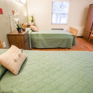A cozy bedroom featuring two beds with green bedding, complemented by a wooden floor and natural light coming through the window.