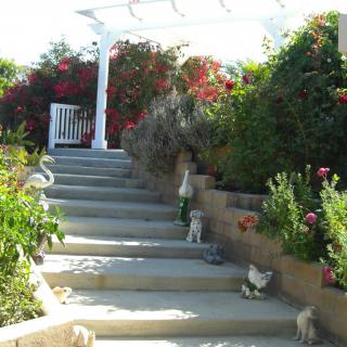A sunlit garden pathway with steps leading up, adorned with plants and flowers.