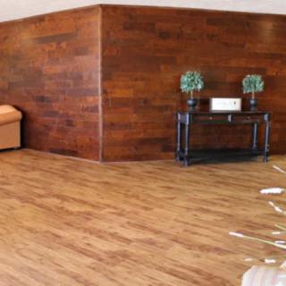 Lake Ridge Nursing & Rehab
