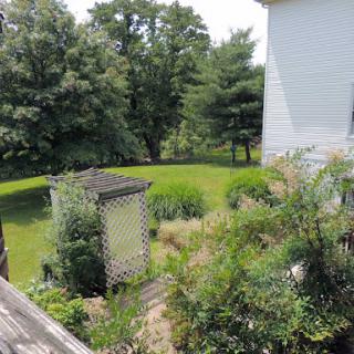 A serene view of a backyard garden featuring lush green grass and various plants.