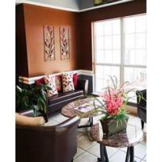 A cozy living room with a stylish sofa, decorative cushions, and vibrant plants.