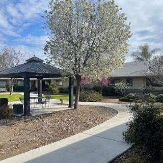 A peaceful park scene featuring a gazebo, blooming tree, and a winding pathway.