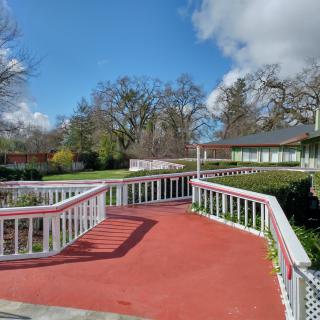 A scenic outdoor garden with a winding red pathway and surrounding trees under a clear blue sky.