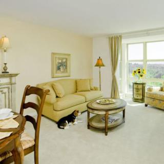 A cozy living room with elegant furnishings and a large window offering a scenic view.