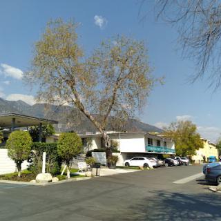 A serene view of a residential area with a prominent tree and mountains in the background.