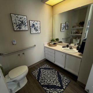 A modern bathroom with decorative artwork, a large mirror, and stylish rug.