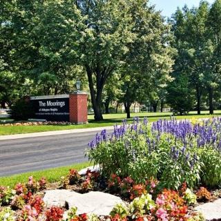 A beautifully maintained garden with colorful flowers and a sign, surrounded by lush trees.