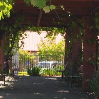 A shaded pergola draped in lush greenery with seating beneath.