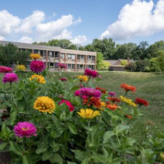 A vibrant display of colorful flowers in the foreground with a serene building and blue sky in the background.