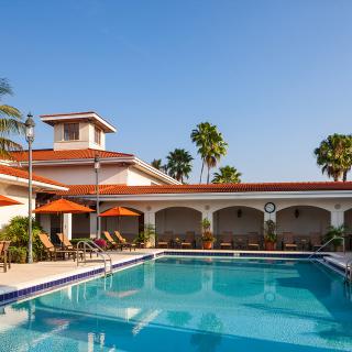 A serene hotel pool area with lounge chairs and palm trees under a clear blue sky.