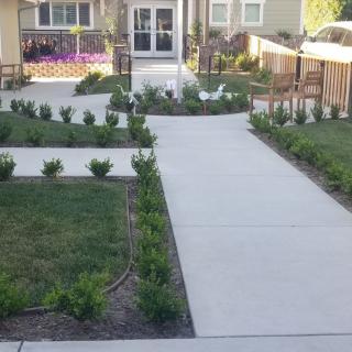 A well-groomed garden pathway lined with bushes and a paved walkway leading to a building entrance.