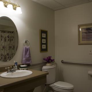 A well-lit bathroom featuring a sink, mirror, toilet, and decorative elements.