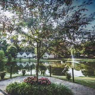 A serene landscape featuring a tree by a pond, with houses reflected in the calm water.