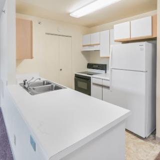 A modern and clean kitchen with essential appliances.