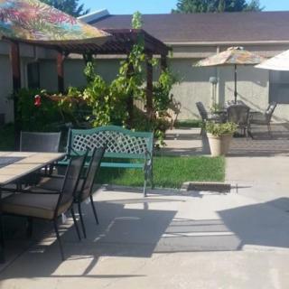 A sunny backyard patio with tables, chairs, and umbrellas.