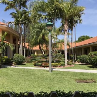 A sunny courtyard with palm trees and a well-maintained garden.