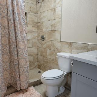 A modern bathroom with a shower, toilet, and sink.
