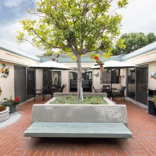 A serene courtyard featuring a central tree surrounded by seating and potted plants.