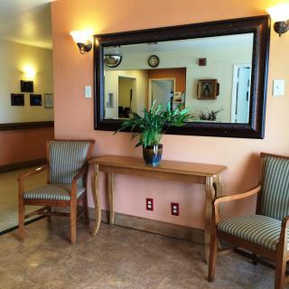 A cozy interior space featuring two chairs, a wooden table with a plant, and a large mirror on the wall.