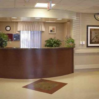 A well-organized reception area with a wooden desk, indoor plants, and wall art.