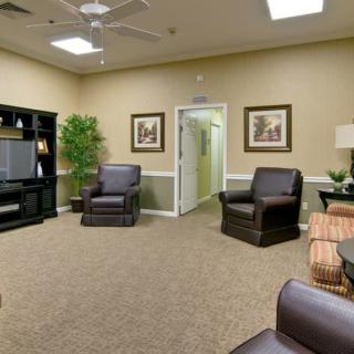 A cozy living room with comfortable seating and a television, featuring tasteful decor and indoor plants.