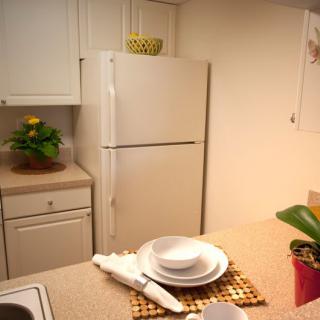 A cozy kitchen with a white refrigerator and neatly arranged dishes on the countertop.