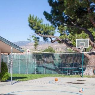 A sunny backyard with a basketball hoop and ball on the concrete court.