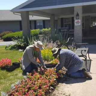 Two individuals engaged in planting flowers in a garden area.