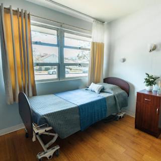 A bright and spacious hospital room featuring a single bed, large windows, and a small plant on the nightstand.