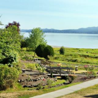 A serene garden overlooking a tranquil lake with lush greenery and clear skies.