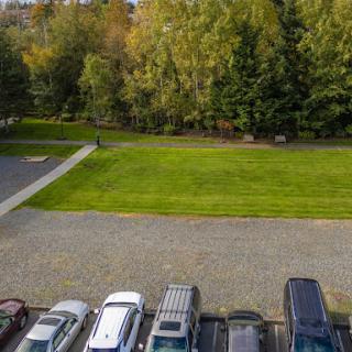A view of a parking lot adjacent to a grassy area with trees in the background.