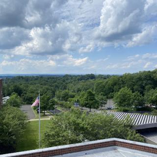 A serene view showcasing a blend of lush greenery and a bright, cloudy sky.