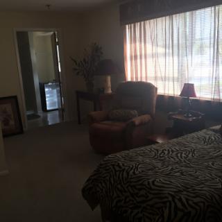 A cozy living area featuring a comfortable chair, natural light streaming in from the window, and decorative elements.