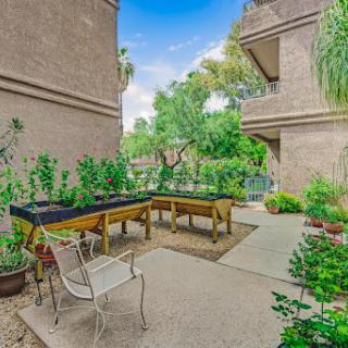 A beautifully landscaped garden area equipped with raised vegetable beds and seating, perfect for enjoying nature.