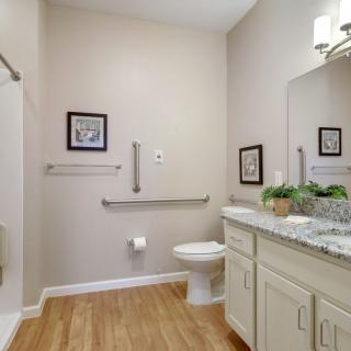 A modern and accessible bathroom with light-colored walls, wooden flooring, handrails, a large mirror, and decorative elements.