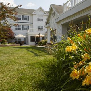 A sunny view of a residential building with a well-kept garden and bright yellow flowers.