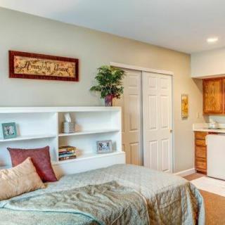A cozy bedroom with modern furnishings, featuring a bed, shelving unit, and a decorative plant.