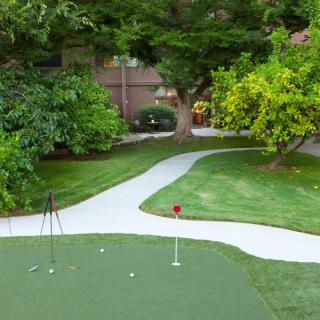 A small outdoor putting green with surrounding greenery and a winding pathway.