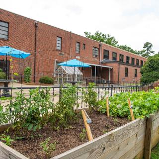 An urban garden with raised beds in front of a brick building, featuring patio umbrellas and outdoor seating.