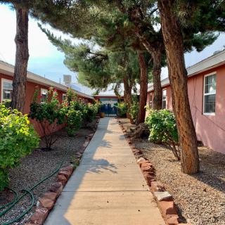 A scenic pathway flanked by trees and buildings on a sunny day.