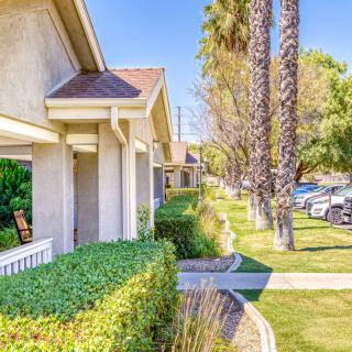 A suburban neighborhood with well-maintained houses and palm trees lining the sidewalk.