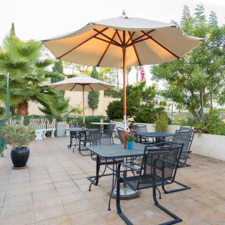 A cozy outdoor patio with tables, chairs, and umbrellas surrounded by lush greenery.
