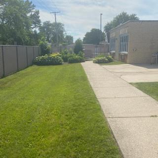 A well-maintained lawn and sidewalk beside a building on a sunny day.